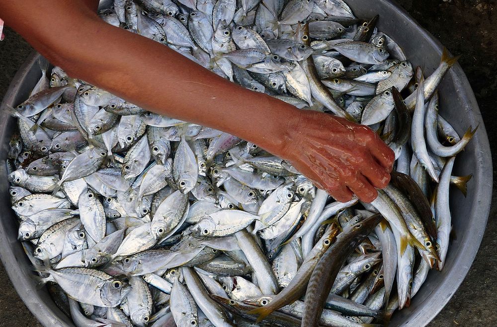 The fish vendor.