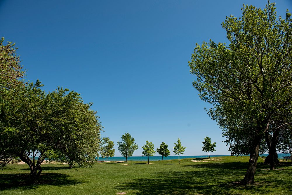 Park during summer. Original public domain image from Flickr