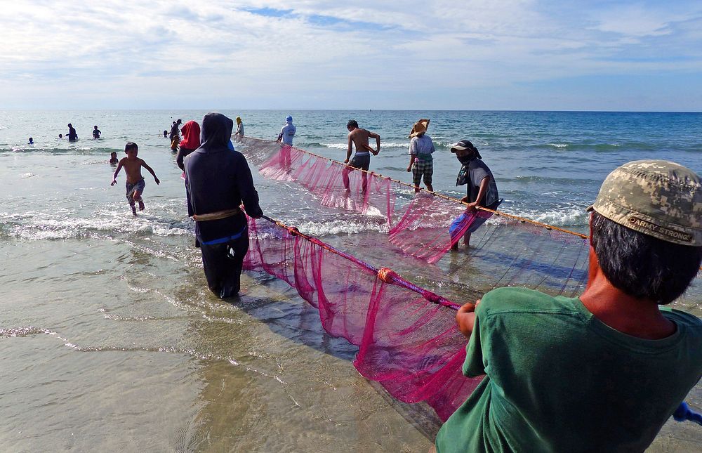 Hauling in the nets.