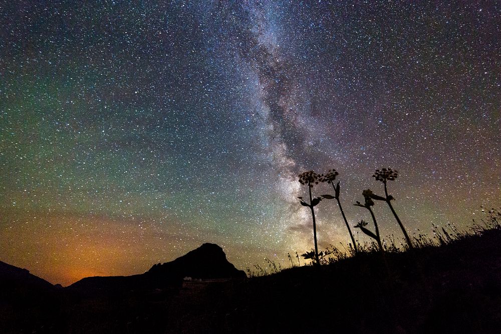 Flowers and Milky Way. Original public domain image from Flickr