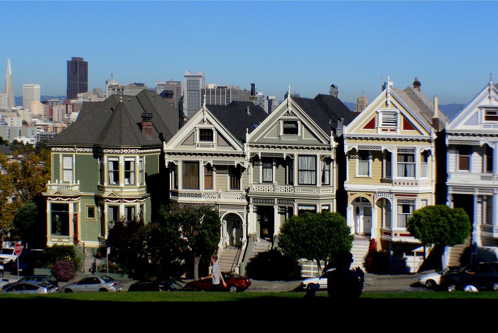 Painted ladies.