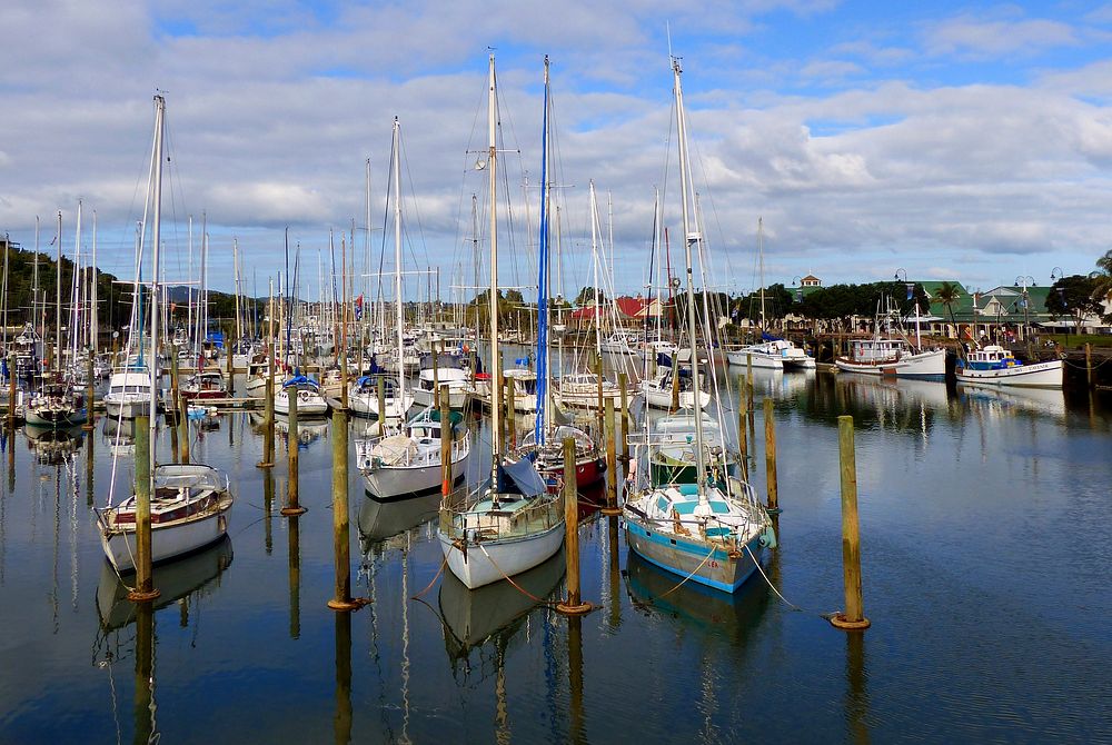 Boat Marina Whangarei. Original public domain image from Flickr