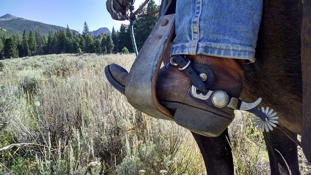 Boots in a stirrup, Leadore Ranger District, Salmon-Challis National Forest, USA. Original public domain image from Flickr