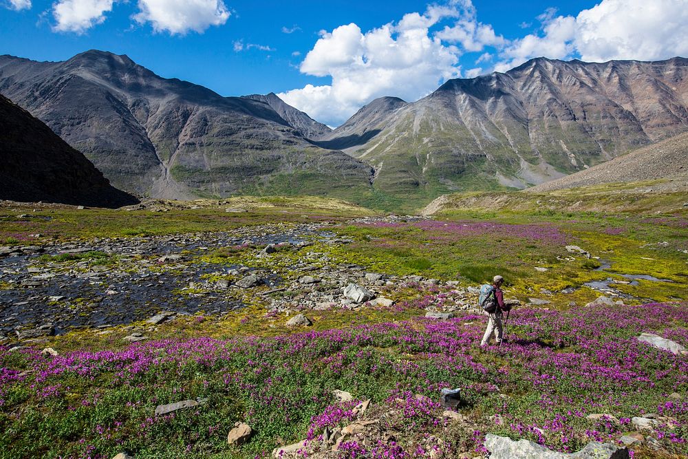 Hiking in the Alpine. Original public domain image from Flickr