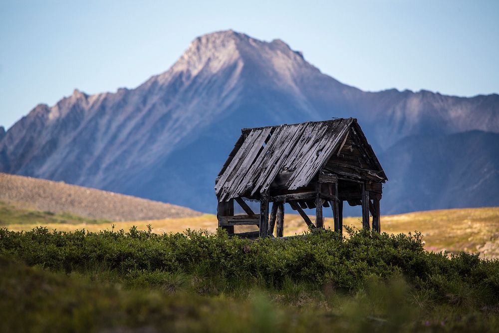 Abandoned house in nature. Original public domain image from Flickr