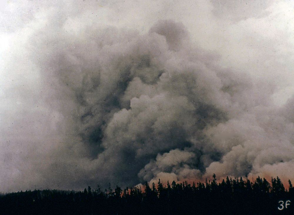 Forest Fire. Original public domain image from Flickr