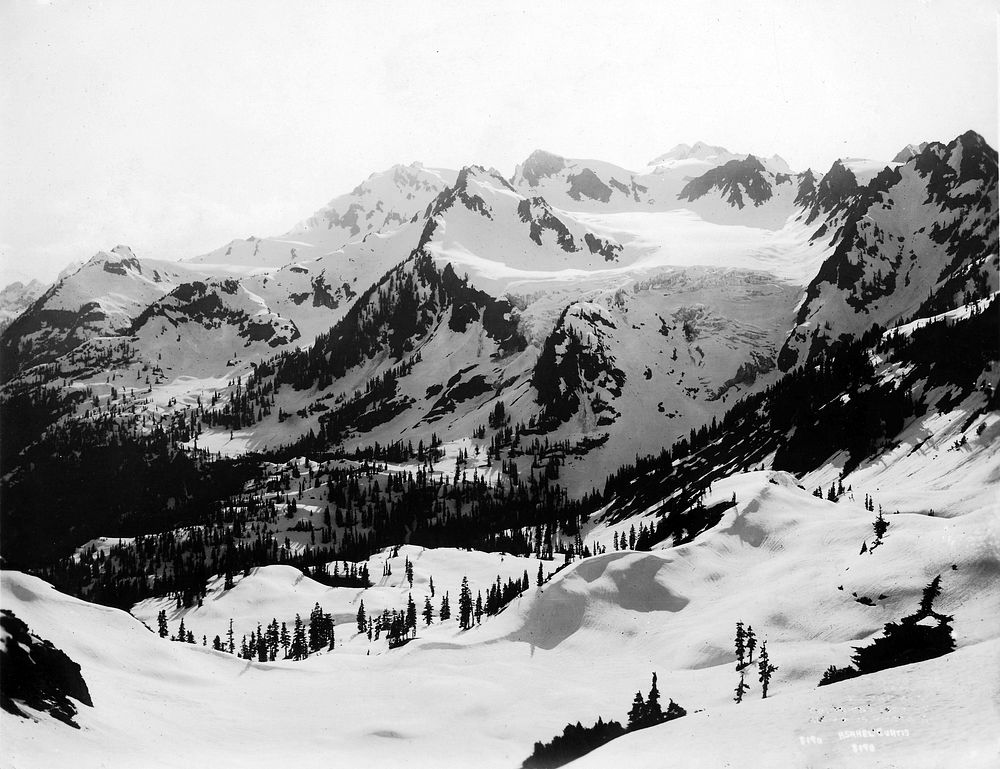 Olympic National Forest Historic Photo. Original public domain image from Flickr