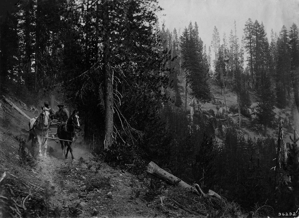 Wagon on Trail from Diamond Lake, Umpqua NF, OR Umpqua National Forest Historic Photo. Original public domain image from…