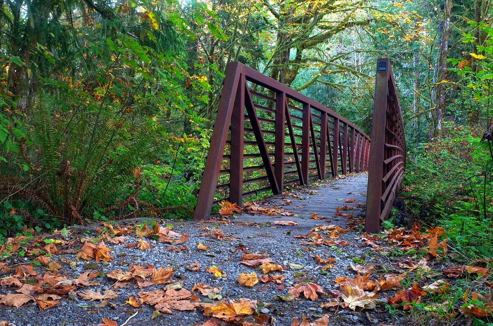 Bridge along Quinault Loop Trail, Olympic National ForestForest Service Photo by Susanne Campbell. Original public domain…