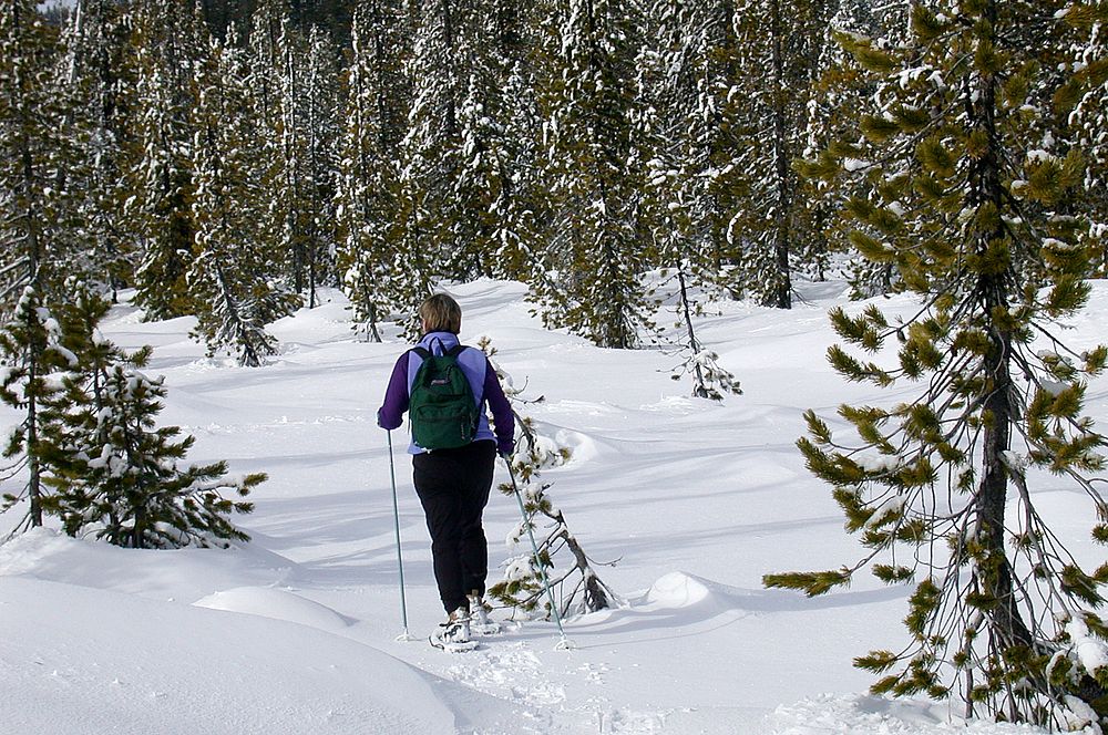 Woman Snowshoeing-Mt Hood. Original public domain image from Flickr