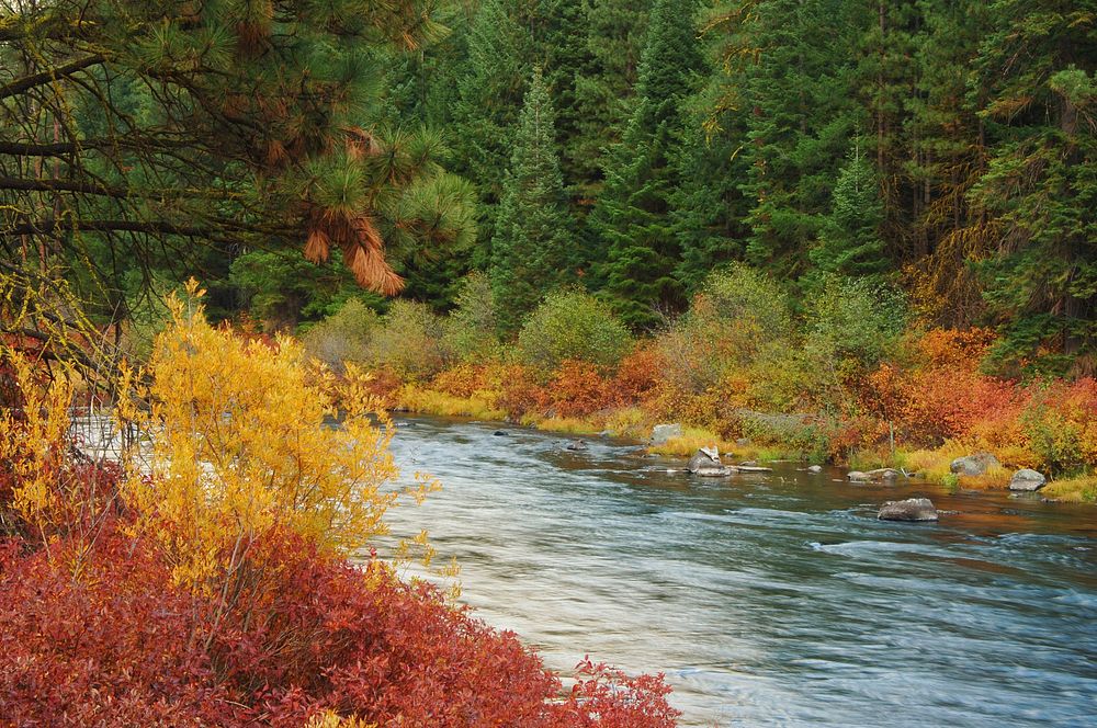 FALL COLOR AT SPRAGUE RIVER-FREMONT WINEMAFremont-Winema National Forest. Original public domain image from Flickr