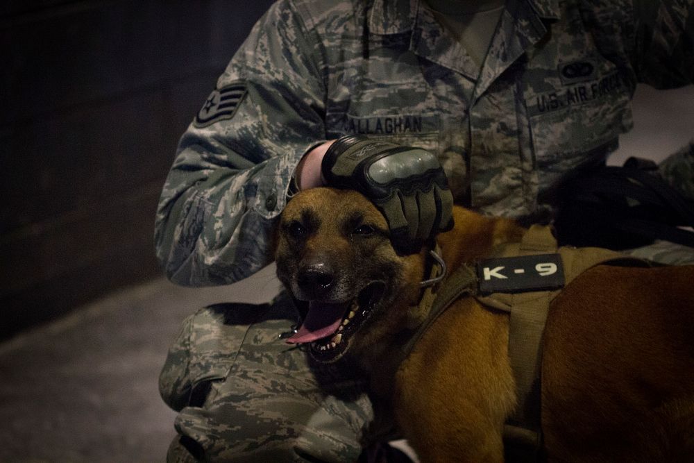 U.S. Air Force Staff Sgt. Jeremy Callaghan, an 87th Security Forces Squadron military working dog handler, waits with his…