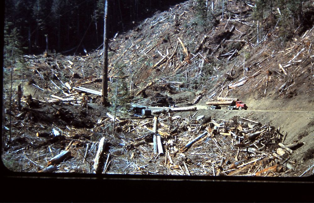 Clearcut log truckSiuslaw National Forest Historic Photos. Original public domain image from Flickr