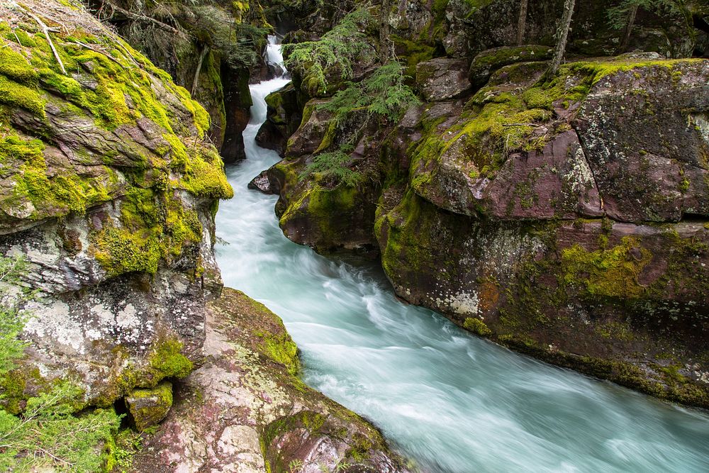 Avalanche Creek Gorge. Original public domain image from Flickr