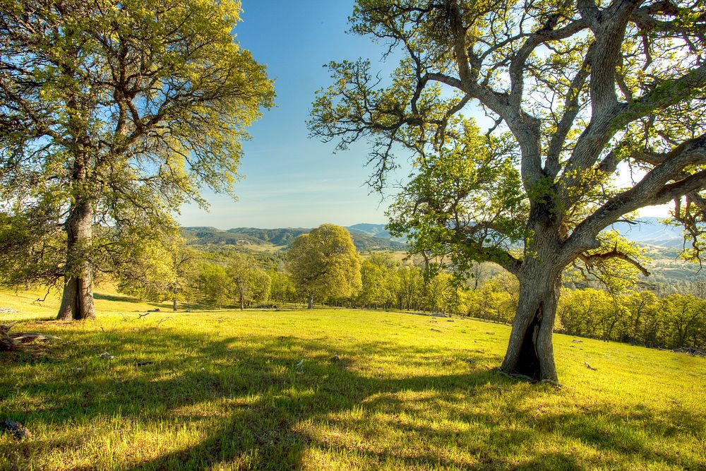 Cache Creek Wilderness, April 2016.