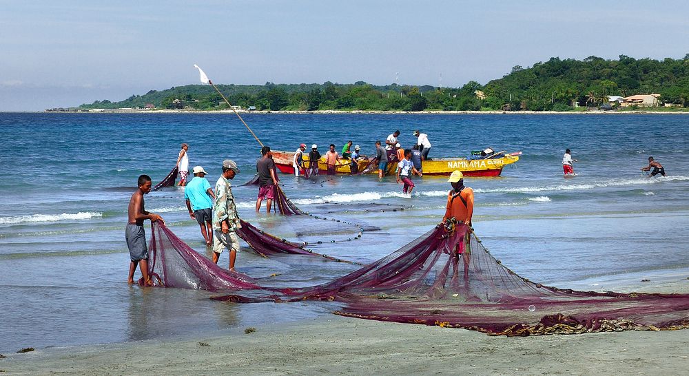 Marine fishing in Ilocos Norte, Ilocos Region, Philippines. Original public domain image from Flickr