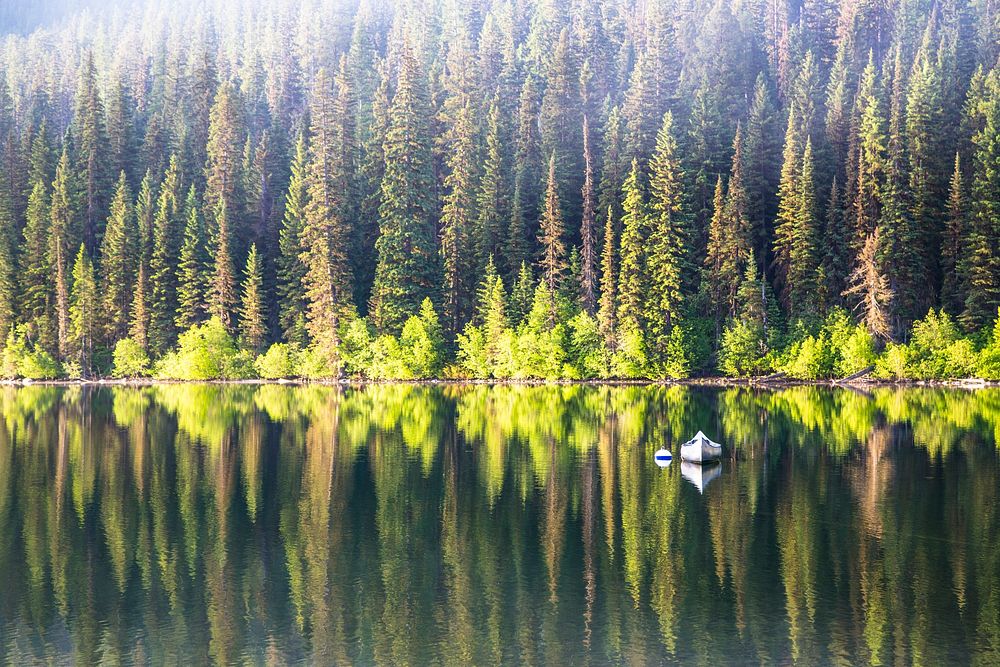 Quartz Lake Fish. Original public domain image from Flickr