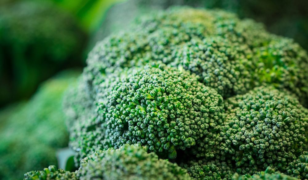 Organic broccoli from Tuscarora Organic Growers (TOG) was delivered to Each Peach Market in the Washington, D.C., on Tuesday…
