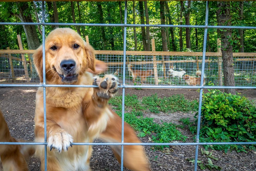 U.S. Department of Agriculture (USDA) Secretary Sonny Perdue visits Farmsteads Puppy Paradise, LLC in Clements, Maryland…