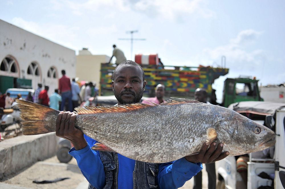 A fishmonger holds his catch in Hamarweyne market in Mogadishu, Somalia on July 04, 2016 ahead of Eid el-Fitr celebrations.…