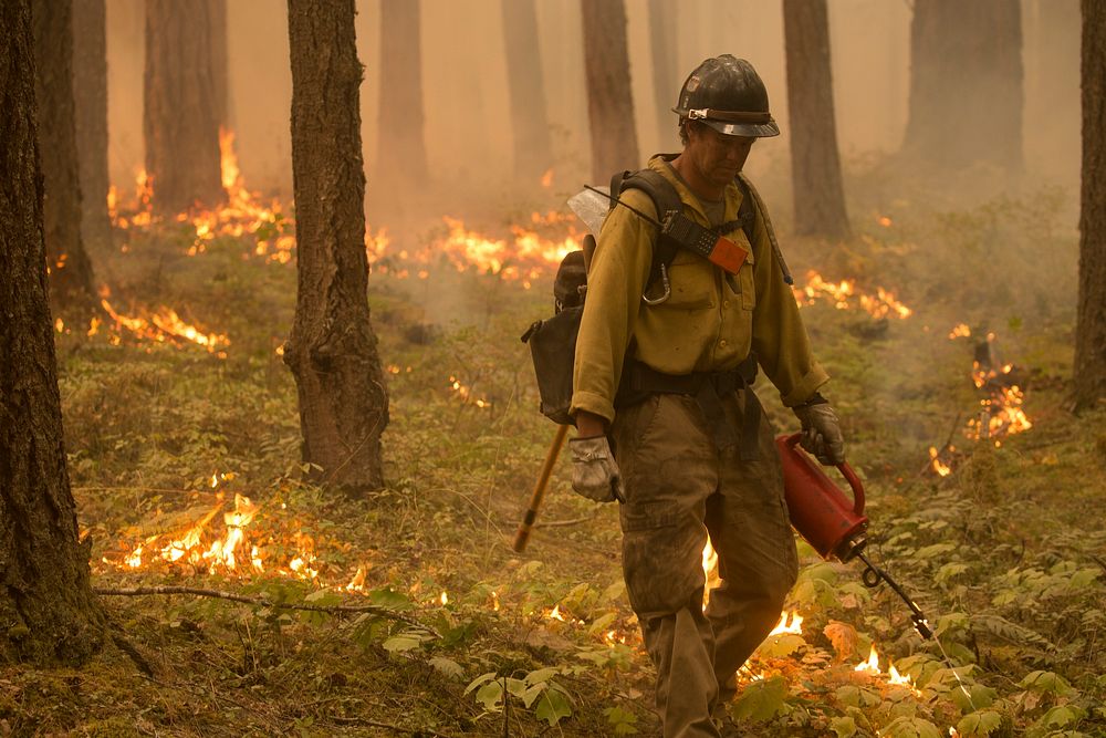 Firefighter, Umpqua National Forest Fires in Oregon on September 2, 2017. (Forest Service photo by Kari Greer). Original…