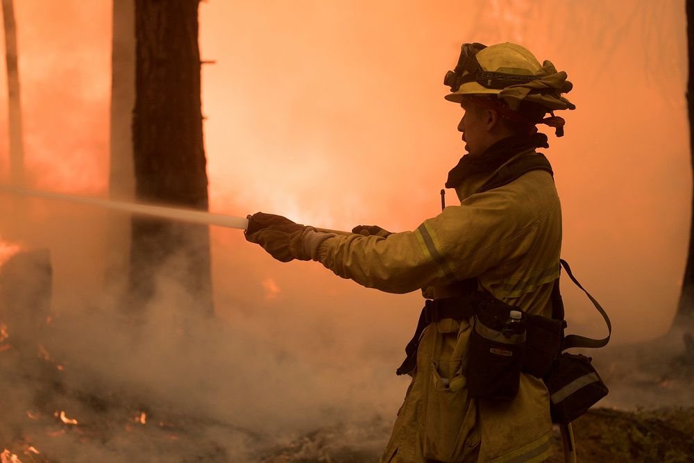 Engine crew member cooling the edge during a burn operation along Henness Ridge; Ferguson Fire, Sierra NF, CA, 2018.…