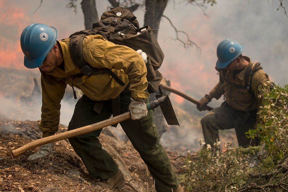 Arrowhead Hotshots conducting a burn operation (tactical firing) on Henness Ridge; Ferguson Fire, Sierra NF, CA, 2018.…