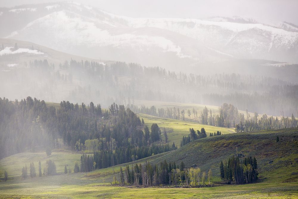 Spring storm, Lamar Valley. Original public domain image from Flickr