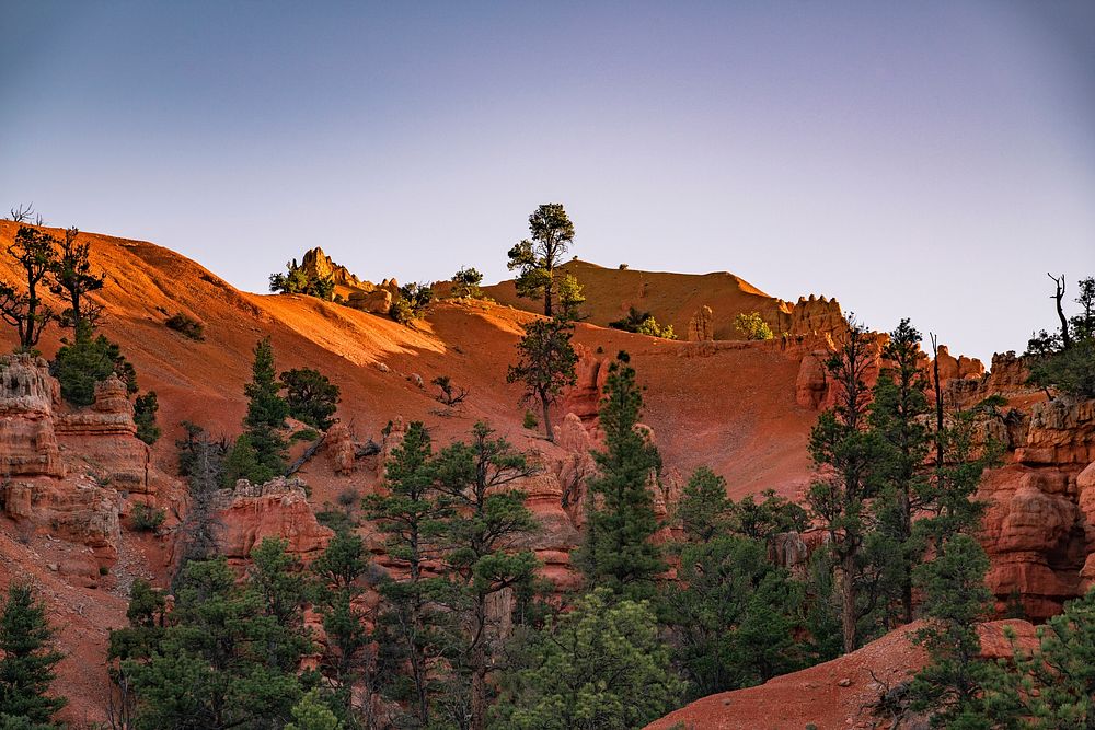 Dixie National Forest Headquarters Cedar Free Photo Rawpixel   CHJpdmF0ZS9sci9pbWFnZXMvd2Vic2l0ZS8yMDIyLTA0L2ZsMzIyMjE0MTE4MjgtaW1hZ2Uta3B3Mmhod2EuanBn 