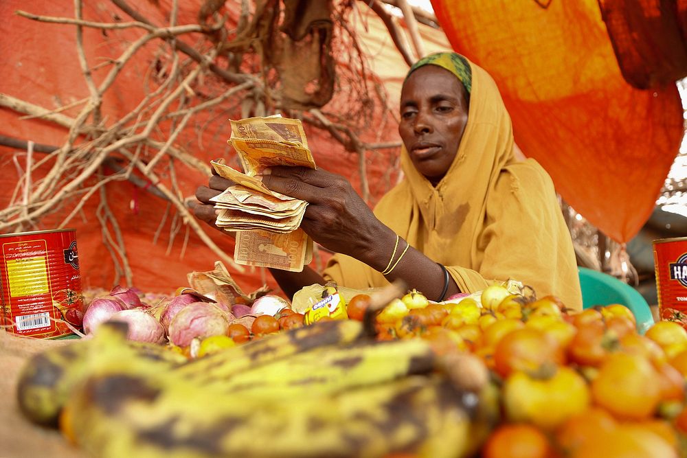 Halima Mohamed Hassan counts Somali Shillings at her small kiosk where she sells vegetables at El-Jale Camp for the…