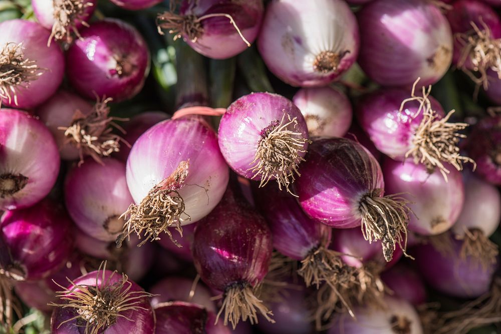 Red Spring Onions on sale by vendors at the U.S. Department of Agriculture (USDA) Farmers Market in Washington, D.C.…