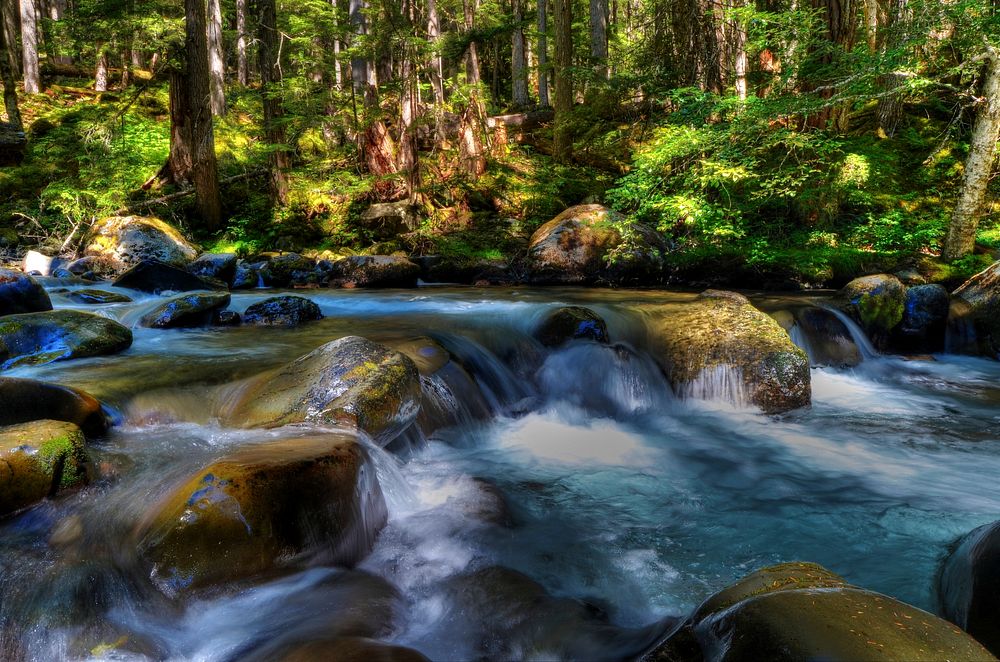Dungeness River, Olympic National Forest. Forest Service Photo by Alex Weinmann. Original public domain image from Flickr
