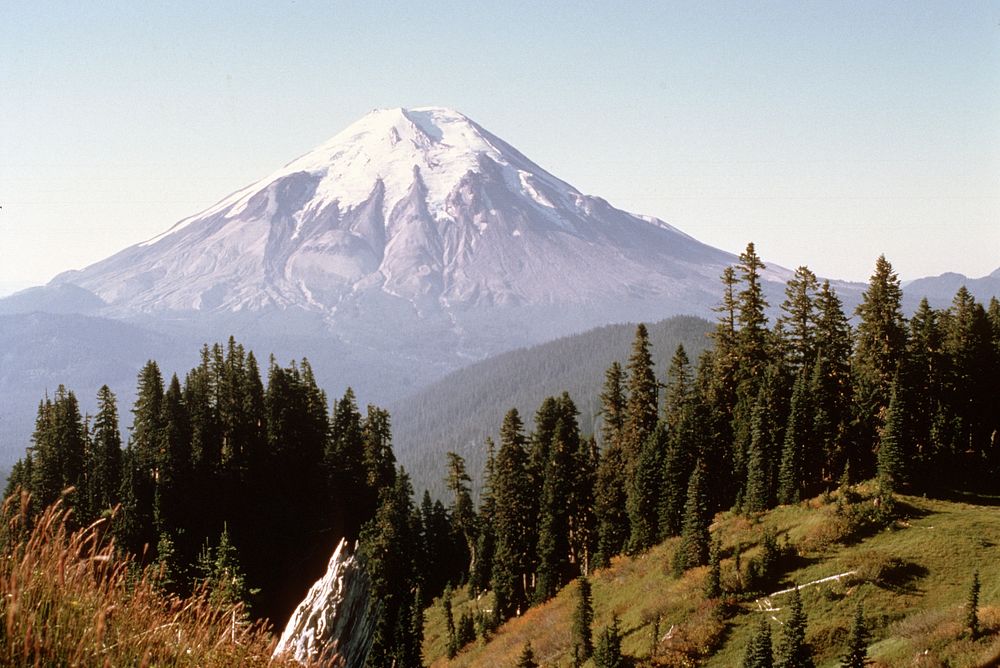 Gifford Pinchot National Forest, pre-eruptive Mt St Helens. Original public domain image from Flickr