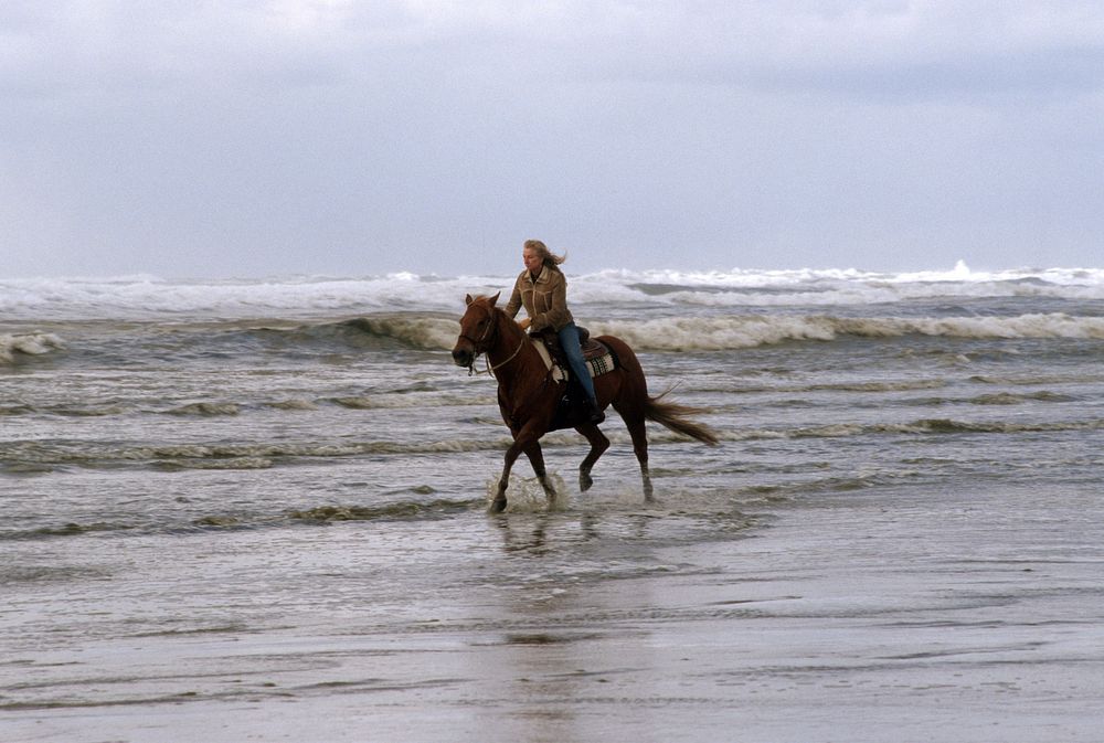 Horseback riding at Oregon Dunes National Recreation Area, Siuslaw National ForestRecreation horseback riding at Oregon…