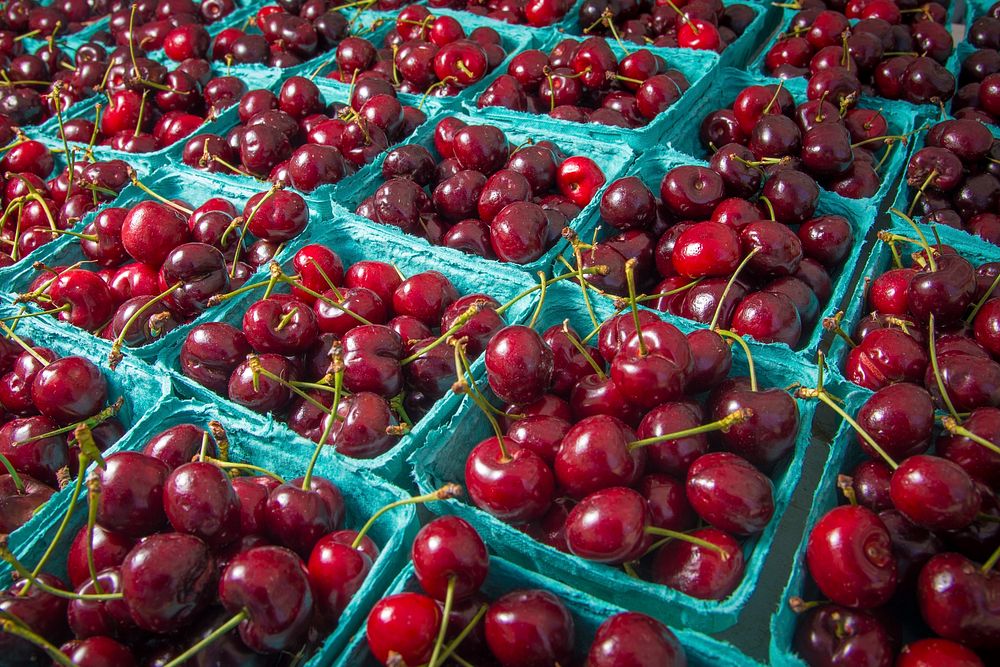 Vender sweet cherries at the U.S. Department of Agriculture (USDA) farmers market at the USDA headquarters in Washington…