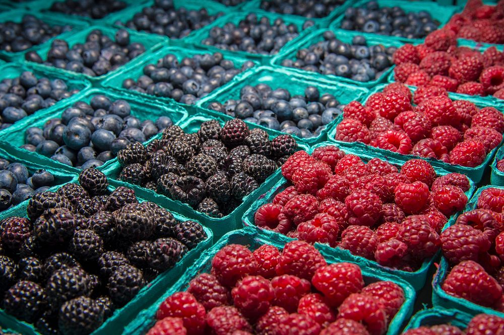 Venders blueberries, blackberries, and raspberries at the U.S. Department of Agriculture (USDA) farmers market at the USDA…