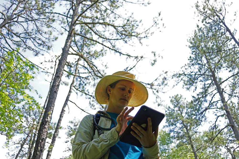 N.C. Plant Conservation Program's Lesley Starke. Original public domain image from Flickr