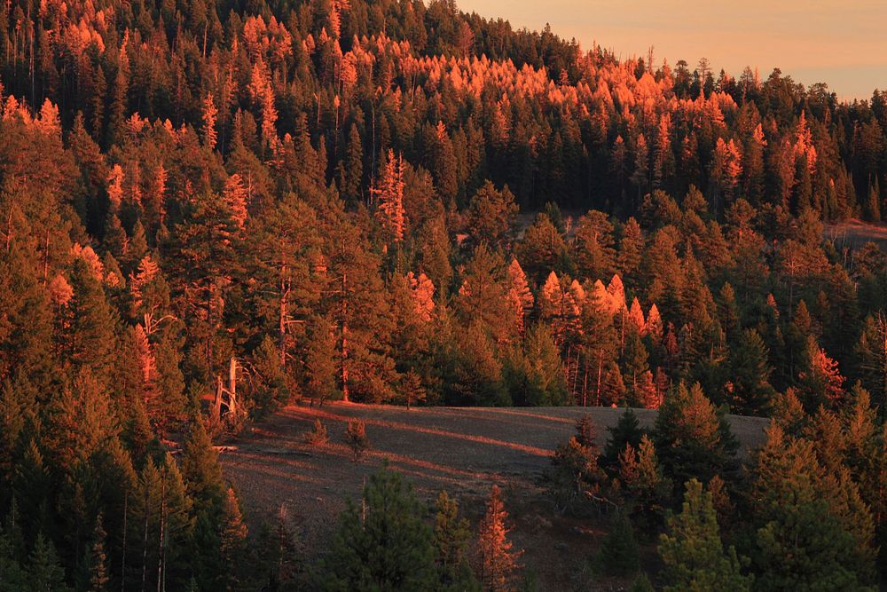 Ochoco National Forest_Indian Prairie sunset. Original public domain image from Flickr