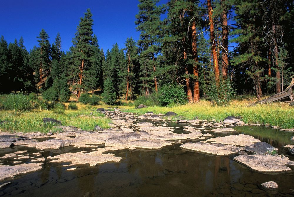 Ochoco National Forest Upper Crooked River. Original public domain image from Flickr