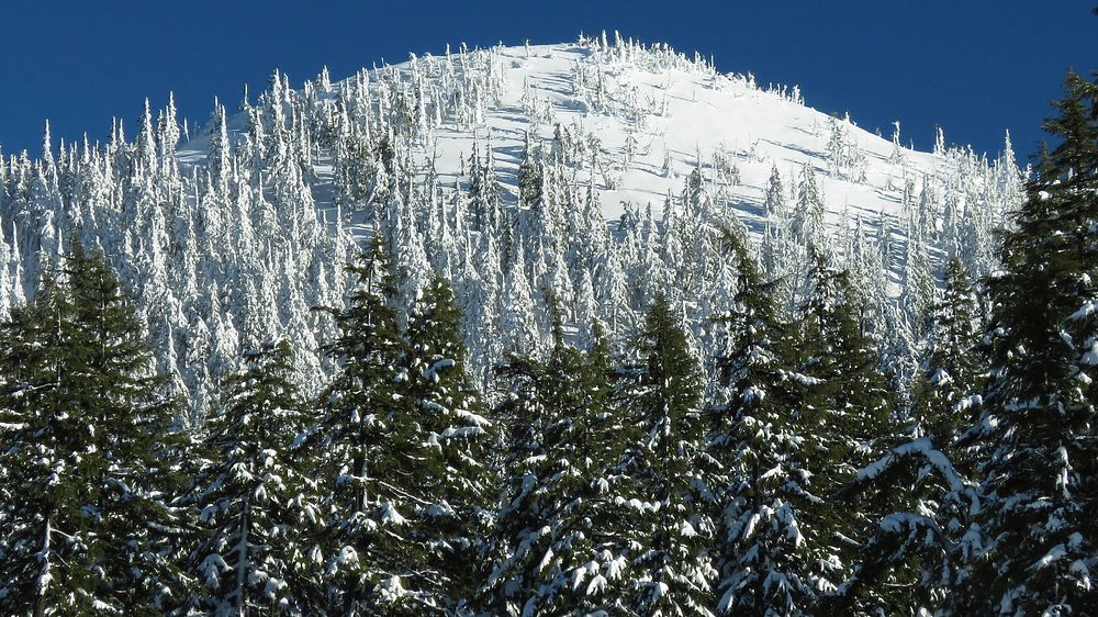 Deschutes National Forest Tumalo Mtn winter. Original public domain image from Flickr