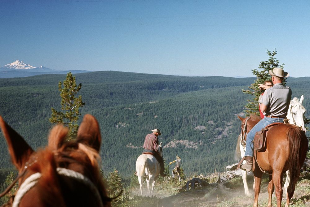 Badger Jordan Lookout Mtn trail, Mt Hood Nat'l Forest 1972. Original public domain image from Flickr