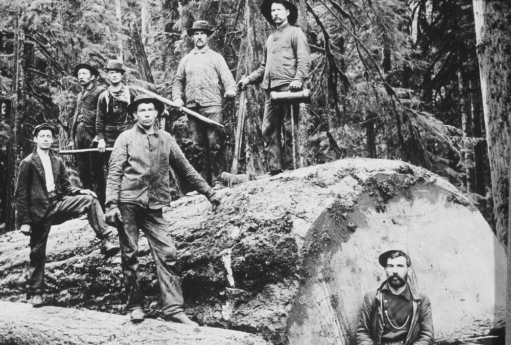 Loggers pose for photo, 1890's. Original public domain image from Flickr