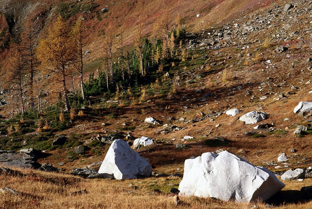 Alpine Lakes Wilderness, Okanogan-Wenatchee National Forest. Original public domain image from Flickr