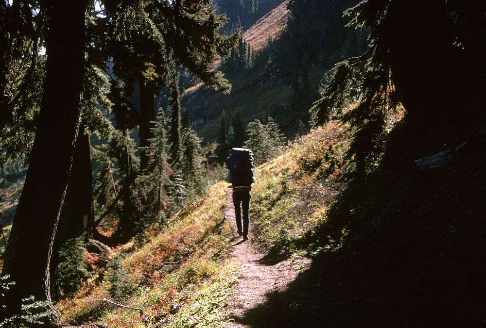 Goat Rocks Wilderness, Gifford Pinchot National Forest. Original public domain image from Flickr