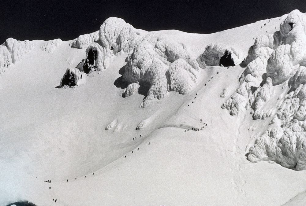 Climbing Mt Hood, climbers on the Hogsback. Original public domain image from Flickr