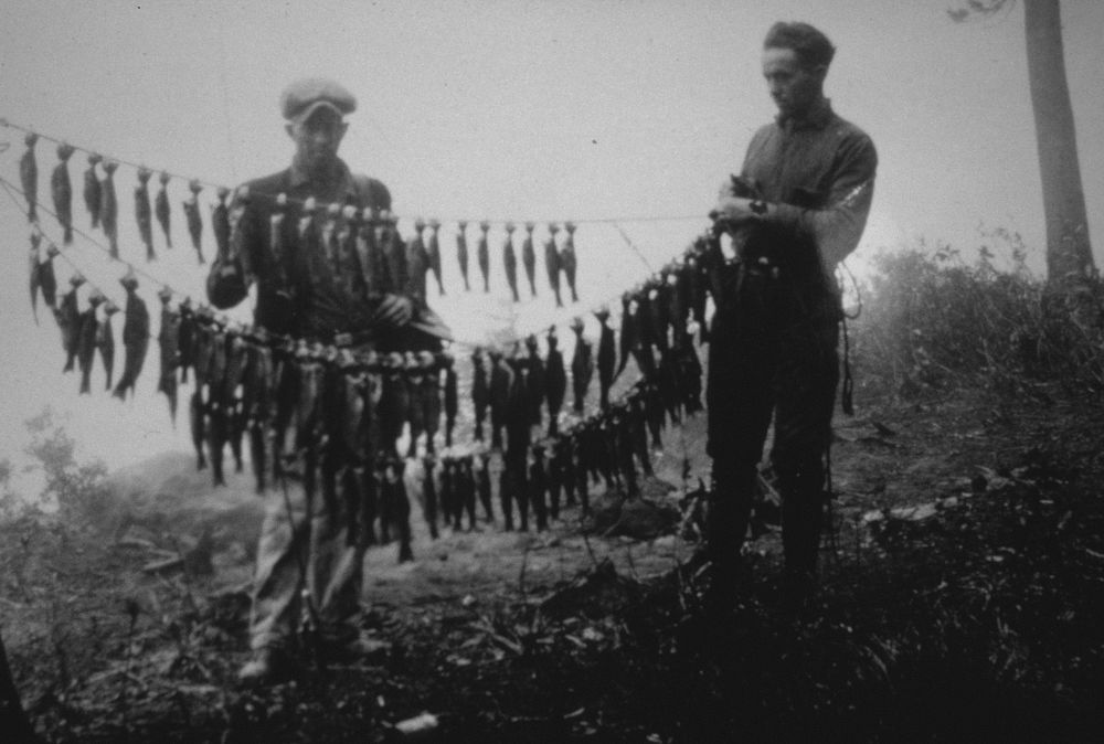 Anglers showing off their over the limit catch. Original public domain image from Flickr
