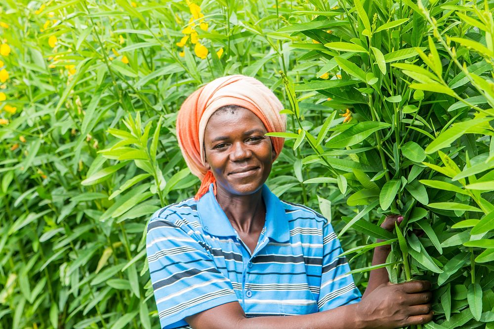 Zimbabwean farmer. USAID in Zimbabwe. USAID Zimbabwe. Original public domain image from Flickr