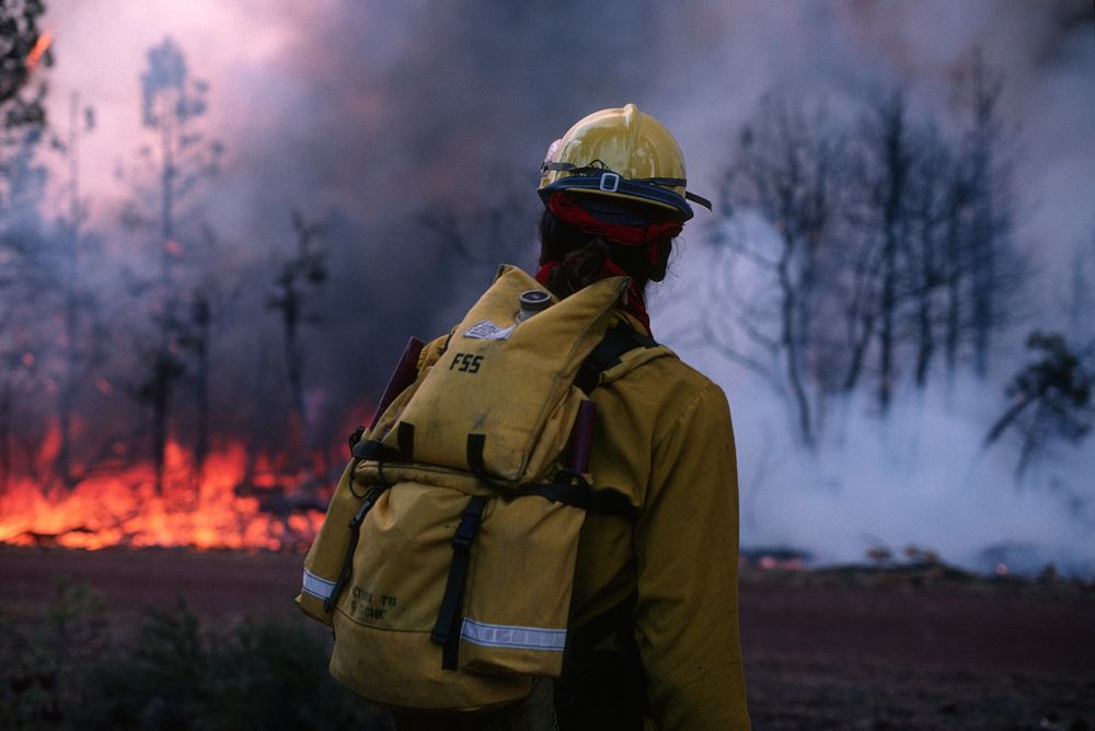 Malheur National Forest. Pine Springs fire. Original public domain image from Flickr