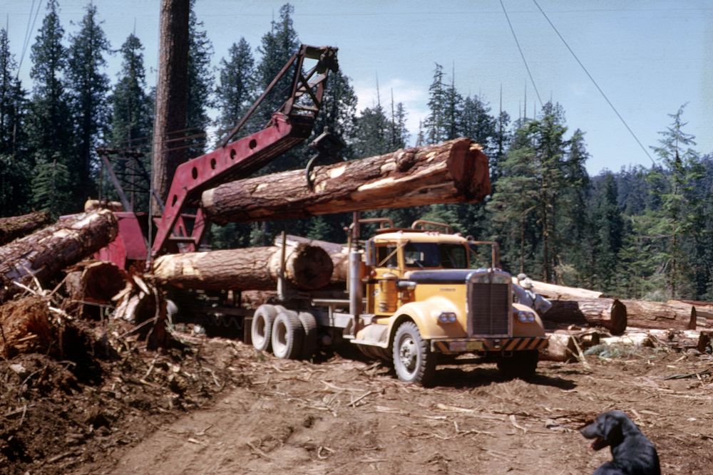 Loading logs. Original public domain image from Flickr