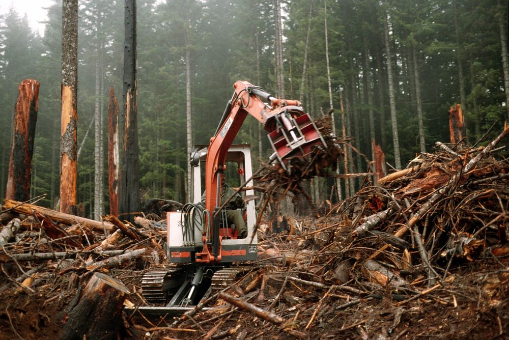 Machine piling logging slash. Original public domain image from Flickr